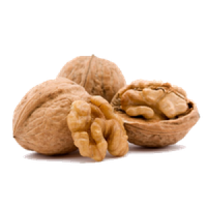 Walnut PNG