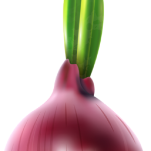 Onion PNG
