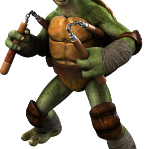 Ninja Turtles PNG