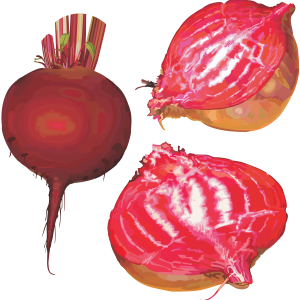 Beet PNG