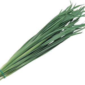 Leek PNG