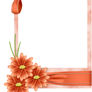 Picture, photo frame PNG