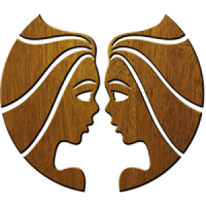 Gemini PNG