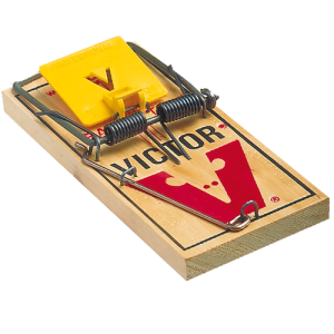 Mouse trap PNG