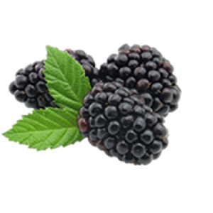 Blackberry PNG