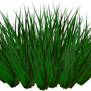 Grass PNG picture