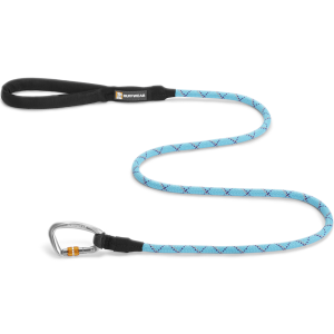 Leash PNG