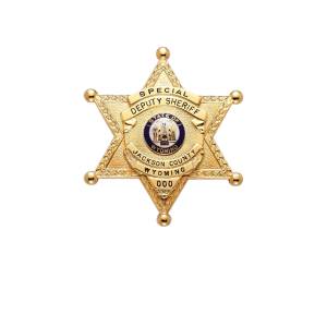 Sheriff badge PNG