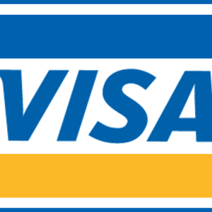 Visa icon PNG