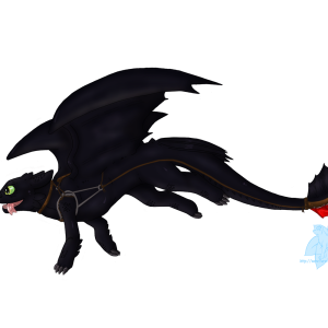 Night Fury PNG