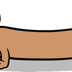 Dachshund PNG