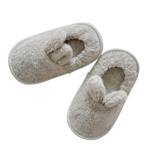 Slippers PNG