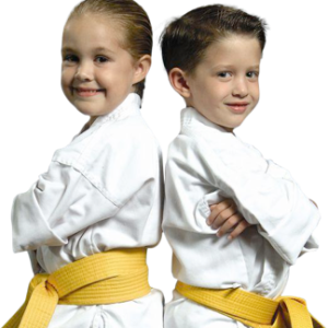 Karate PNG