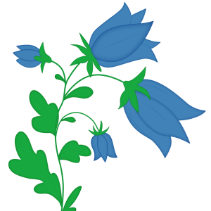 Bellflower PNG