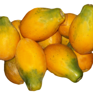 Papaya PNG