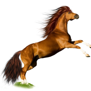 horse png image, free download picture, transparent background