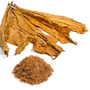 Tobacco PNG