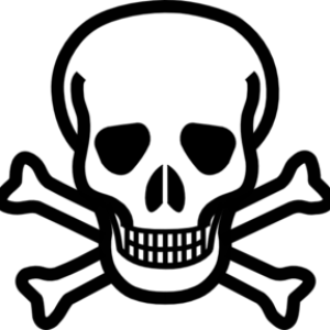 Skull PNG image