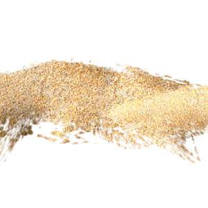 Sand PNG