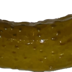 Salted cucumber PNG