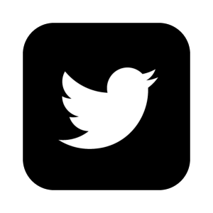 Twitter logo PNG