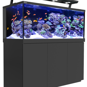 Aquarium PNG