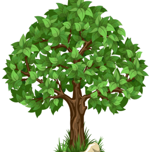 tree PNG
