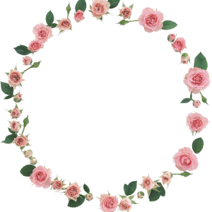 Floral frame PNG