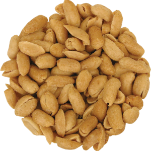 Peanut PNG