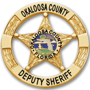 Sheriff badge PNG