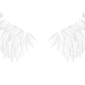 Wings PNG