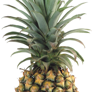 Pineapple PNG image, free download