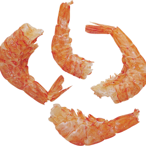 Clean shrimps PNG image