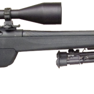 Carabine PNG