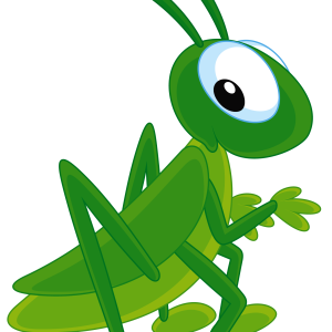 Grasshopper PNG