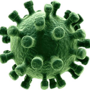 Coronavirus PNG