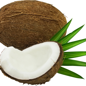 Coconut PNG image