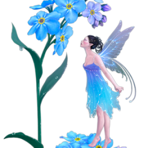Fairy PNG