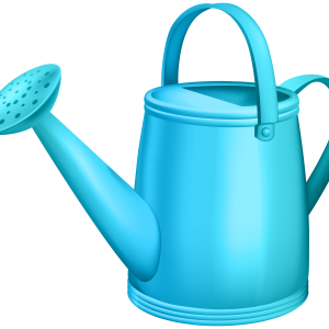 Watering can PNG