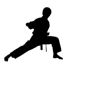 Karate siluete PNG