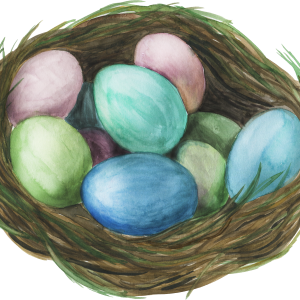 Nest PNG