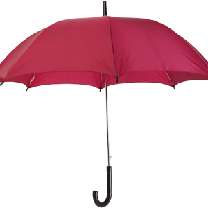 Umbrella PNG