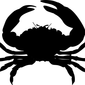 Cancer zodiac PNG