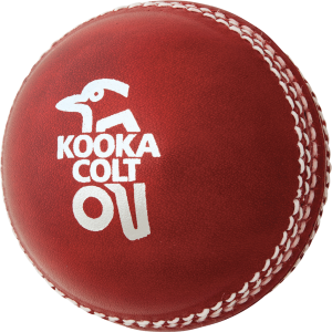 Cricket ball PNG