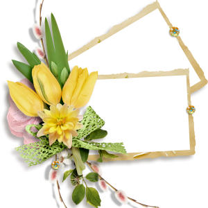 Floral frame PNG