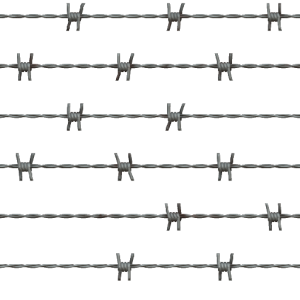 Barbwire PNG
