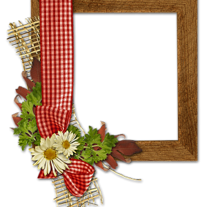 Picture, photo frame PNG