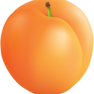 Apricot picture image PNG