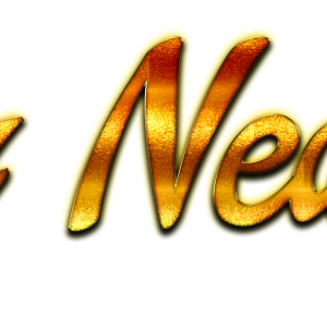 New Year PNG