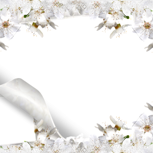 Floral frame PNG